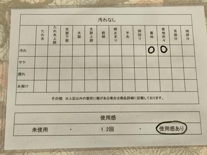 平和屋着物◎六通柄袋帯　草花文　銀糸　正絹　逸品　AAAX7939ou