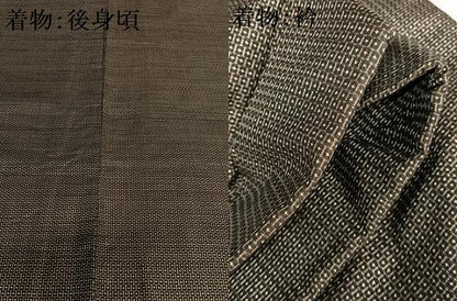 平和屋着物●男性　本場大島紬　アンサンブル　100亀甲　総詰め　証紙付き　正絹　逸品　AAAY0185zg