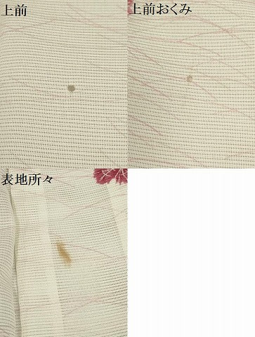平和屋着物＊夏物　小紋　絽　舞蝶文　洗える着物　AAAY0455sx