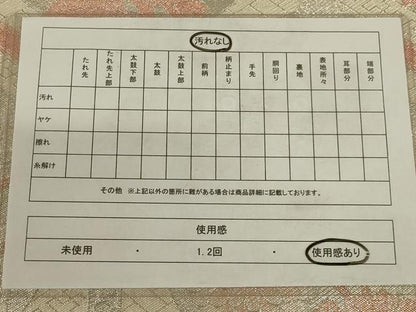 平和屋着物◎佐賀錦　六通柄袋帯　亀甲花文　銀糸　正絹　逸品　AAAY0819ou