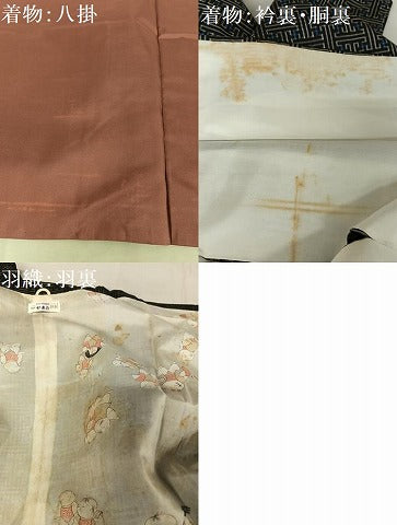平和屋着物●本場大島紬　龍郷絣　秋名バラ　道中着セット　やまと誂製　正絹　逸品　AAAY1608np