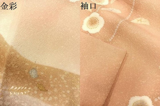 平和屋着物●訪問着　草花　枝梅　暈し染め　金彩　正絹　逸品　AAAY1733np