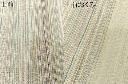 平和屋着物▽本塩沢 単衣 やまだ織 縞 200色 正絹 逸品 未使用 AAAY1767np