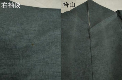 平和屋着物●訪問着　雪輪エ霞文　暈し染め　正絹　逸品　AAAY1870ck