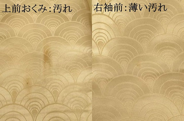 平和屋着物■小紋　青海波地紋　暈し染め　洗える着物　AAAY2797ja