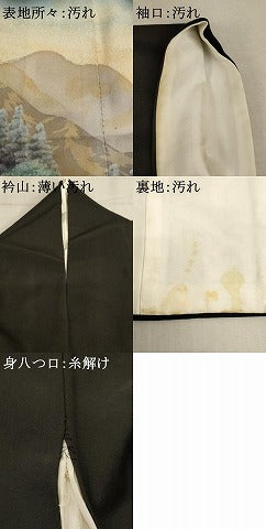平和屋着物■豪華黒留袖　作家物　手描き　風景文　暈し染め　正絹　逸品　AAAY2824ja