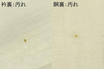 平和屋着物■上質な紬　草花文　正絹　逸品　AAAY3887mf