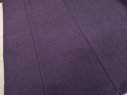 平和屋着物●本塩沢 蚊絣 正絹 逸品 AAAY4684ck