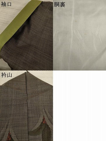 平和屋着物●本場大島紬 カタス7マルキ 南天文 正絹 逸品 AAAY4746ck