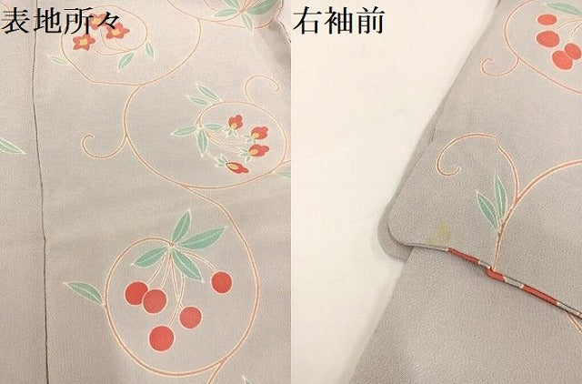 平和屋着物●上質な小紋 花唐草 鬼しぼ縮緬 正絹 逸品 AAAY5602ph