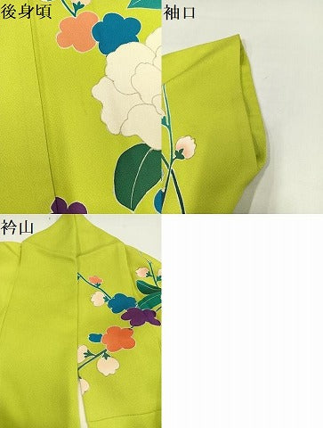 平和屋着物●豪華振袖　枝花文　金彩　正絹　逸品　AAAY5603ph