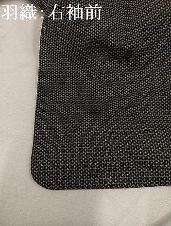 平和屋着物●男性 お召 アンサンブル 亀甲柄 正絹 逸品 AAAY5617ph