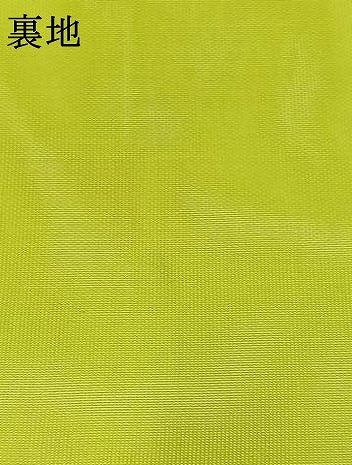 平和屋着物＊夏物　六通柄袋帯　燕子花文　金糸　正絹　逸品　AAAY5773jh