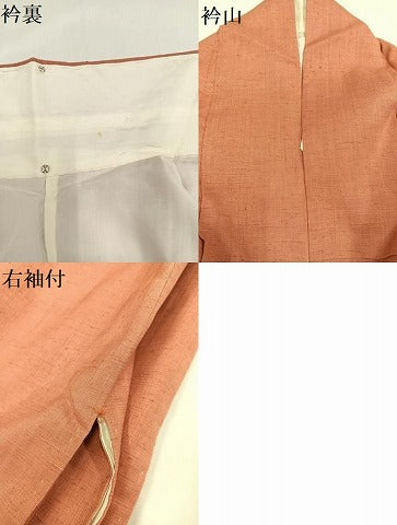 平和屋着物●本加賀友禅作家 談議所栄二監修 紬 伽羅色 正絹 逸品 AAAY5994ph