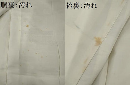 平和屋着物■上質な紬 雲取り花文 正絹 逸品 AAAY6260nf