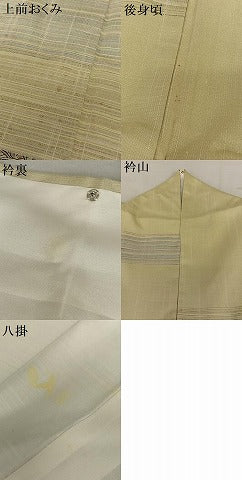 平和屋着物●訪問着 紬地 手描き 更紗花間道 正絹 逸品 AAAY6534zg