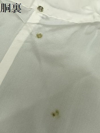 平和屋着物●本場大島紬 舞花文 証紙付き 正絹 逸品 未使用 AAAY6552zg
