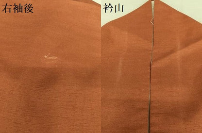 平和屋着物●上質な紬 色無地 蘇芳色 正絹 逸品 AAAY6594zg