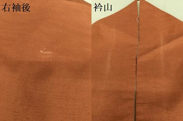 平和屋着物●上質な紬 色無地 蘇芳色 正絹 逸品 AAAY6594zg
