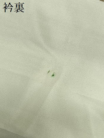 平和屋着物●上質な紬　成り物　林檎　ロング丈　正絹　逸品　AAAY6641zg