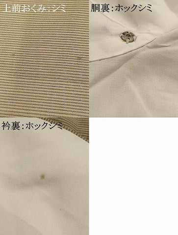 平和屋着物■上質な紬　立涌間道　正絹　逸品　AAAY7078iu