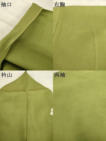 平和屋着物●訪問着　草花文　暈し染め　正絹　逸品　AAAY7345ck