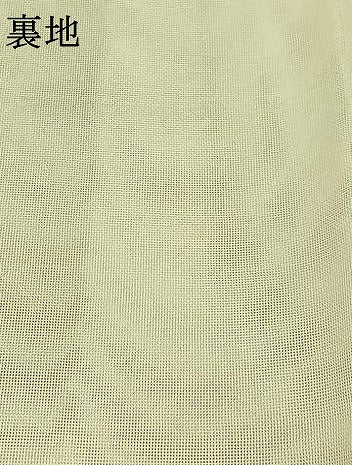 平和屋着物＊夏物　六通柄袋帯　草花文　銀糸　正絹　逸品　AAAY8272jh