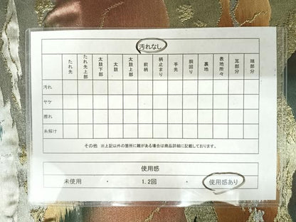 平和屋着物◎六通柄袋帯　風景文　金銀糸　正絹　逸品　AAAY8366yx