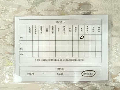 平和屋着物◎六通柄袋帯　古京錦　二重引箔　銀糸　正絹　逸品　AAAY8450yx