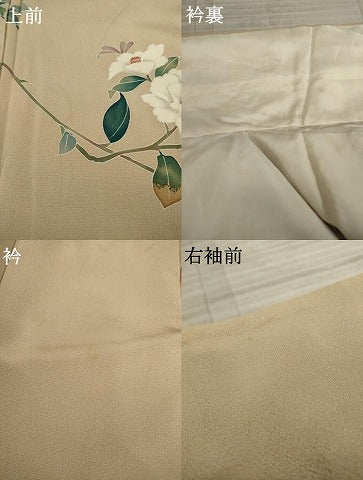 平和屋着物●訪問着　友禅　枝花文　正絹　逸品　AAAY9766ck