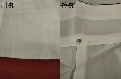 平和屋着物●本塩沢　有栖川文様　150亀甲　正絹　逸品　AAAY9848ck