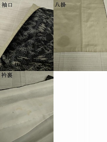平和屋着物●上質な紬 樹林文 黒地 正絹 逸品 AAAY9851ck