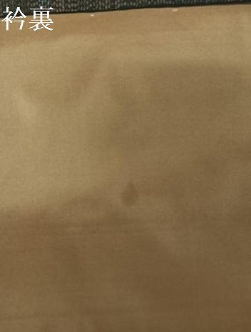平和屋着物●本場大島紬 蔦草文 正絹 逸品 AAAY9883np