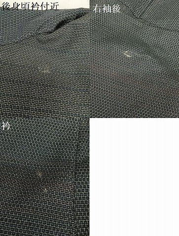 平和屋着物●本塩沢　110亀甲　横段文　正絹　逸品　AAAZ0065zg