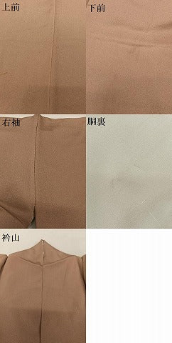 平和屋着物●色留訪問着 駒刺繍 寿光織 梅松花文 桐 金彩 正絹 逸品 AAAZ0280zg