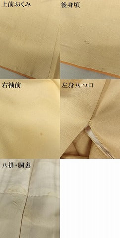 平和屋着物●訪問着 紬地 手描き 南天文 正絹 逸品 AAAZ0310zg