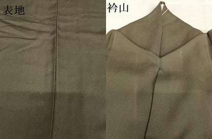 平和屋着物●堀信　訪問着　枝花文　椿　暈し染め　金彩　正絹　逸品　AAAZ0317zg