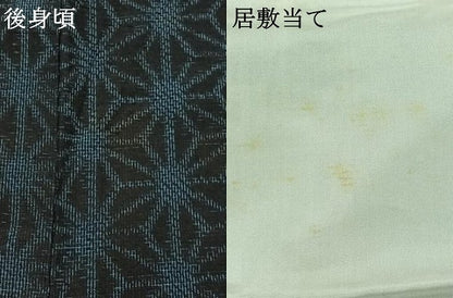 平和屋着物▽上質な紬　単衣　麻の葉文様　正絹　逸品　AAAZ0699jh