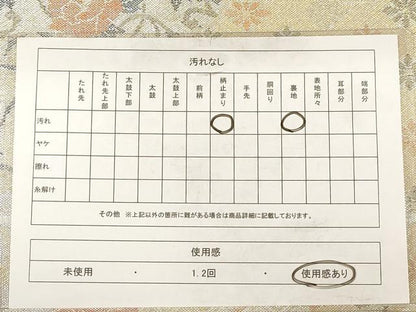 平和屋着物◎新佐賀錦　六通柄袋帯　天井花文　銀糸　正絹　逸品　AAAZ0812dt