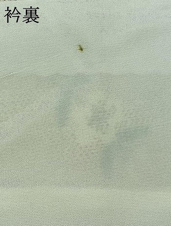 平和屋着物▽上質な紬 単衣 草花文 正絹 逸品 AAAZ0979jh