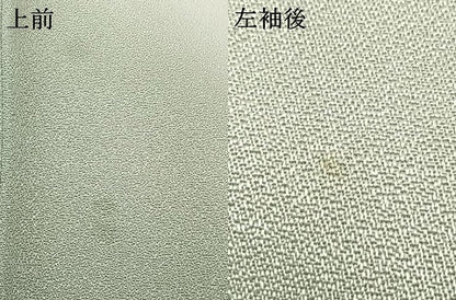 平和屋着物▽訪問着　単衣　手描き　草花文　暈し染め　正絹　逸品　AAAZ1391fy