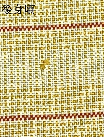 平和屋着物▽本場縞大島紬 単衣 横段文 正絹 逸品 AAAZ1502fy
