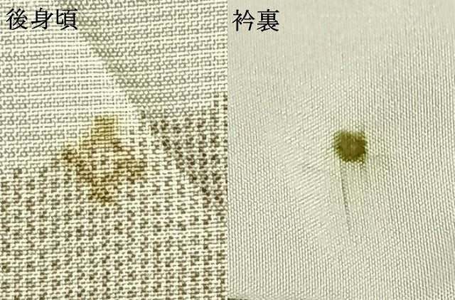 平和屋着物▽上質な紬 単衣 熨斗文 正絹 逸品 AAAZ1506fy