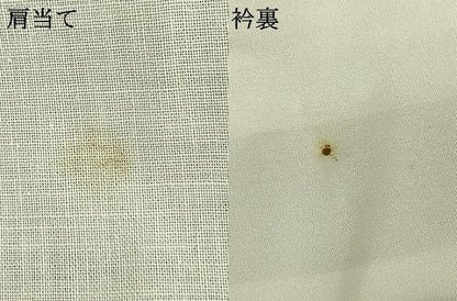 平和屋着物▽上質な紬　単衣　地紙花文　正絹　逸品　AAAZ1518fy