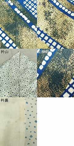 平和屋着物▽訪問着 単衣 舞花文 金彩 洗える着物 AAAZ1531fy