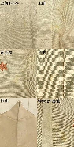 平和屋着物▽訪問着 単衣 刺繍 舞葉文 金糸 正絹 逸品 AAAZ1571fy