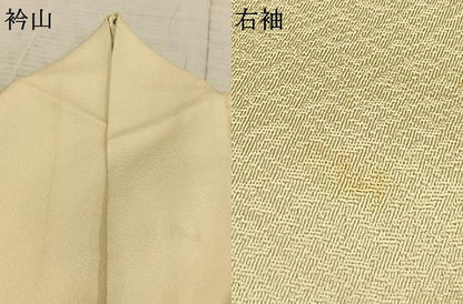 平和屋着物▽訪問着 単衣 作家物 風景文 暈し染め 金銀彩 正絹 逸品 AAAZ1575fy