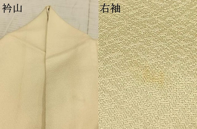 平和屋着物▽訪問着 単衣 作家物 風景文 暈し染め 金銀彩 正絹 逸品 AAAZ1575fy