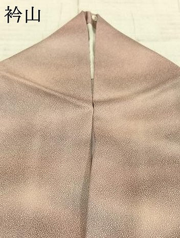 平和屋着物▽上質な小紋　単衣　霞文　正絹　逸品　AAAZ1576fy