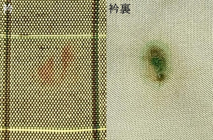 平和屋着物▽上質な紬 単衣 格子 正絹 逸品 AAAZ1604fy
